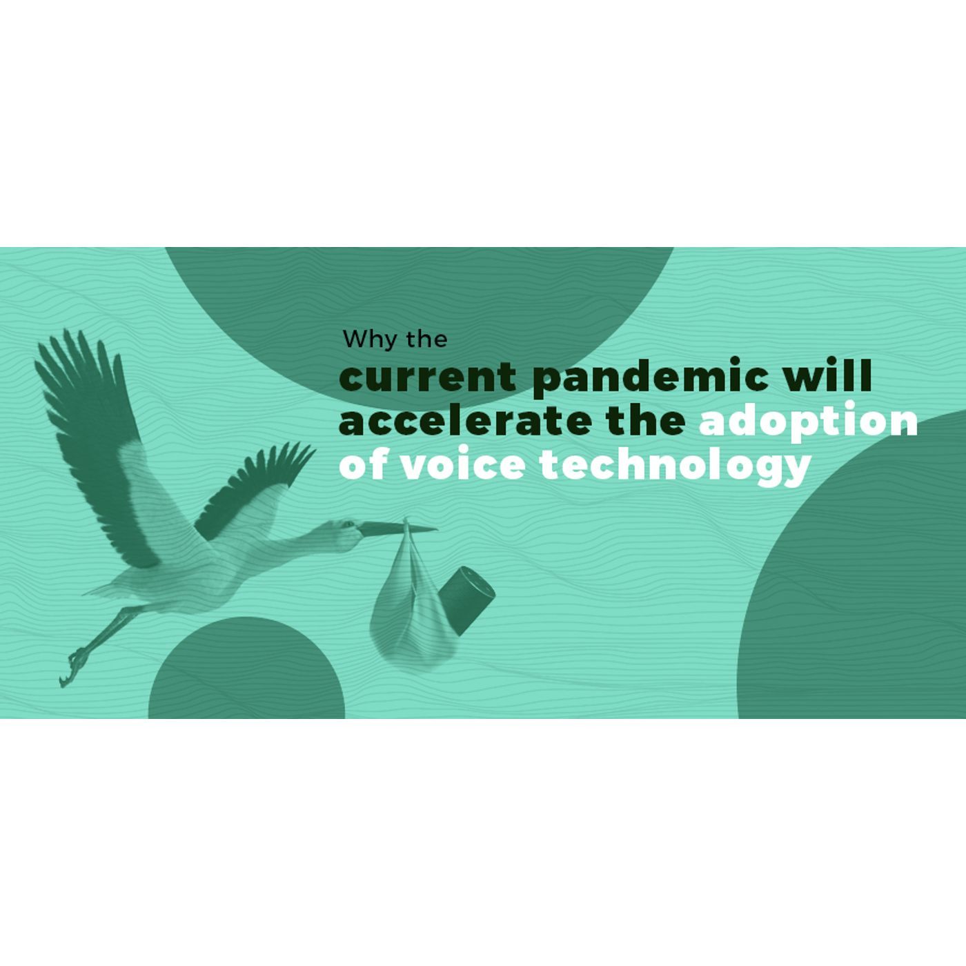  Pandemics Will Accelerate Voice Tech Adoption | Trinity Audio  episode artwork